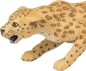 Preview: Wild Safari Wildlife Tierfigur Leopard von Safari Ltd.