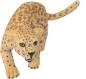 Preview: Wild Safari Wildlife Tierfigur Leopard von Safari Ltd.