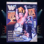 Preview: WWF WWE Magazin Nr. 6 (1996) Dino Verlag | Shawn Michaels WrestleMania 12 | Hoppla Stuff