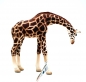 Preview: Wildtiere Kunststoff Figur Giraffe von Bullyland