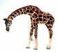 Preview: Wildtiere Kunststoff Figur Giraffe von Bullyland