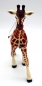 Preview: Wildlife Wonders Reticulated Giraffe (Netzgiraffe) Kunststoff Figur von Safari