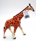 Preview: Wildlife Wonders Reticulated Giraffe (Netzgiraffe) Kunststoff Figur von Safari