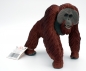 Preview: Wildlife Wonders Bornean Orangutan (Borneo-Orang-Utan) Kunststoff Figur von Safari