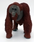 Preview: Wildlife Wonders Bornean Orangutan (Borneo-Orang-Utan) Kunststoff Figur von Safari