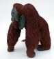 Preview: Wildlife Wonders Bornean Orangutan (Borneo-Orang-Utan) Kunststoff Figur von Safari