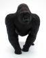 Preview: Wildlife Wonders Silverback Gorilla (Silberrücken Gorilla) Kunststoff Figur von Safari