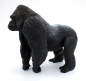 Preview: Wildlife Wonders Silverback Gorilla (Silberrücken Gorilla) Kunststoff Figur von Safari