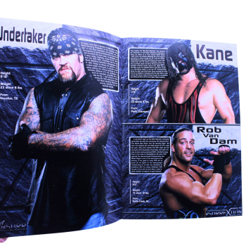 WWF/WWE Souvenir Programme Road to Insurrextion 2002
