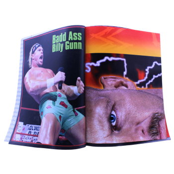 WWF Magazin Nr. 12 (1998) – Oddities Cover & Stone Cold Steve Austin Poster | Ehapa Verlag | Hoppla-Stuff
