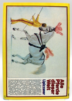 Conny Mädchen Pferde Abenteuer Comic Heft Nr. 54: Manege frei für Petra von Bastei