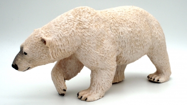 Eisbär