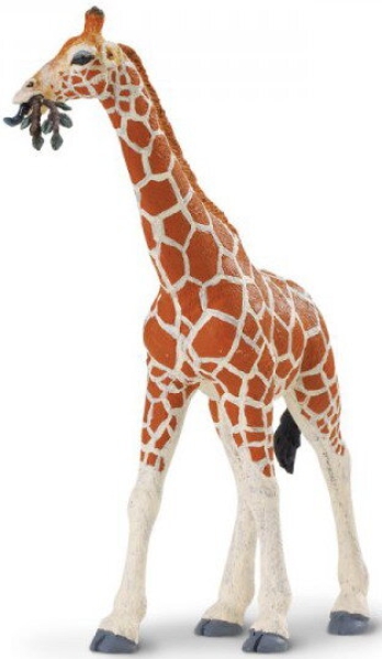 Wildlife - Wild Safari Reticulated Giraffe (Netzgiraffe) Kunststoff Figur von Safari
