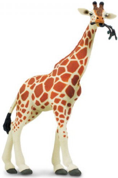 Wildlife - Wild Safari Reticulated Giraffe (Netzgiraffe) Kunststoff Figur von Safari