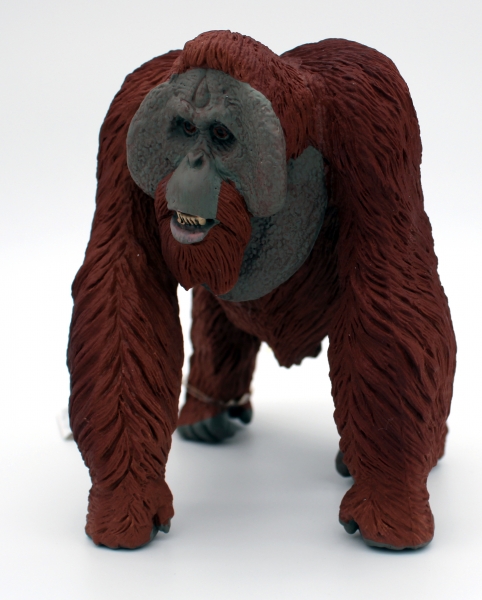 Wildlife Wonders Bornean Orangutan (Borneo-Orang-Utan) Kunststoff Figur von Safari