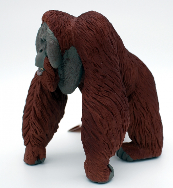 Wildlife Wonders Bornean Orangutan (Borneo-Orang-Utan) Kunststoff Figur von Safari