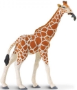 Wildlife - Wild Safari Reticulated Giraffe (Netzgiraffe) Kunststoff Figur von Safari
